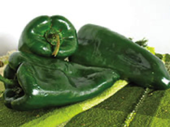 poblano