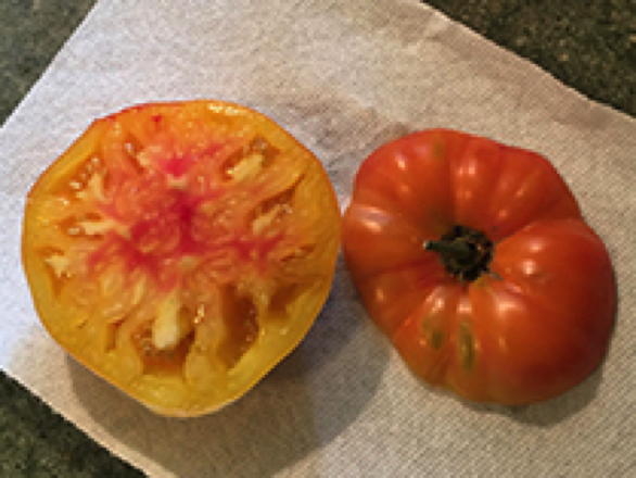 armenian heirloom tomato