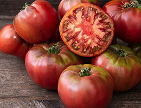 cherokee carbon heirloom tomato