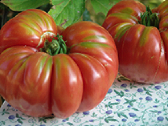 rose heirloom tomato